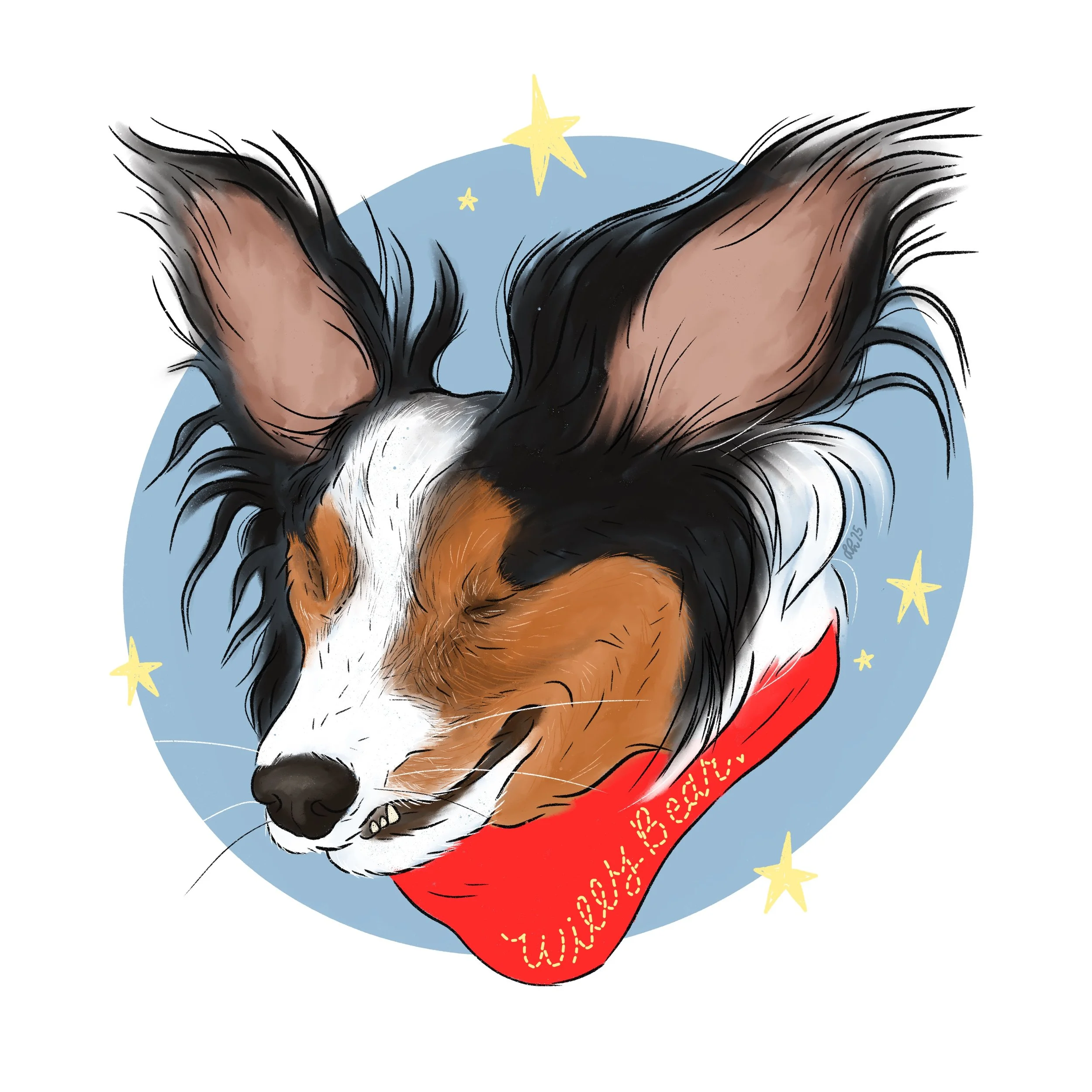 digital pet portrait illustration — creep can sleep
